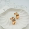 Stylish Chunky Crystal-Studded Hoop Earrings – Rose Gold Finish