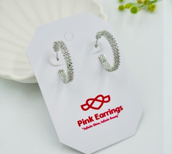 Silver-Plated Crystal Hoop Earrings – Classic Round with Double Row Stones