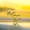 Gold Heart Hoop Earrings with Bee Charm – Stainless Steel