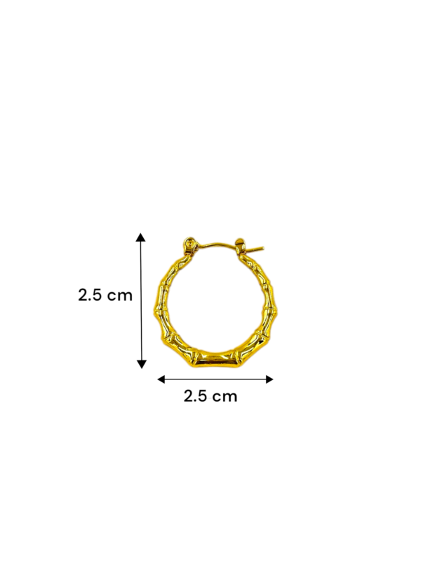 Bamboo Textured Gold Hoop Earrings – Lightweight Stainless Steel